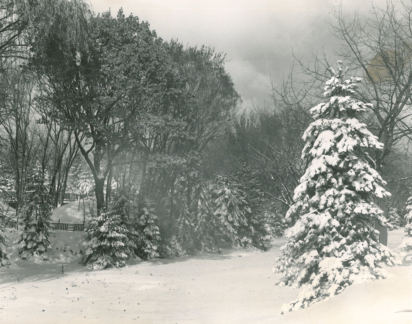 1951